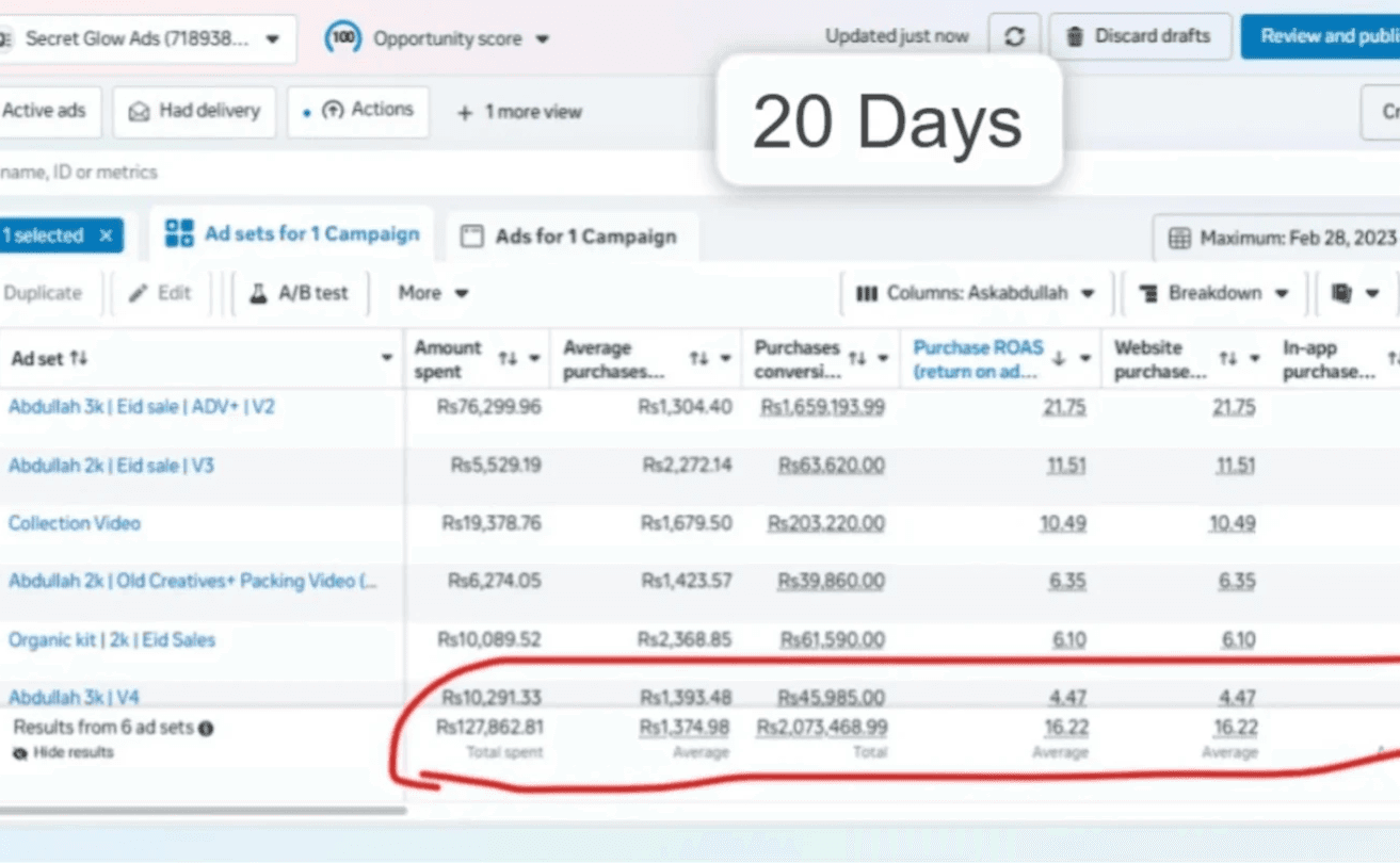 Meta Ads Performance